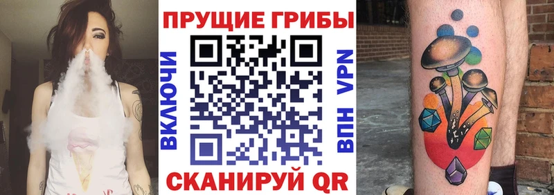 Псилоцибиновые грибы Psilocybine cubensis наркотики Мещовск